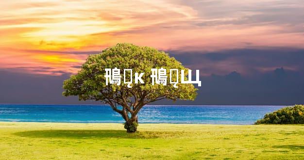 鳵ƽ̨ĸ 鳵ƽ̨Щ